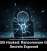 LockBit Hacked: Ransomware Gang’s Secrets Exposed