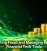 Preventing Fraud and Managing Risk With Financial Tech Tools